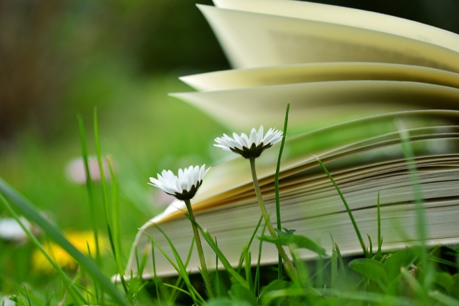 Blomster og bok