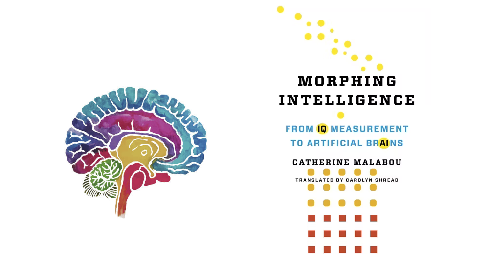 Morphing Intelligence book cover