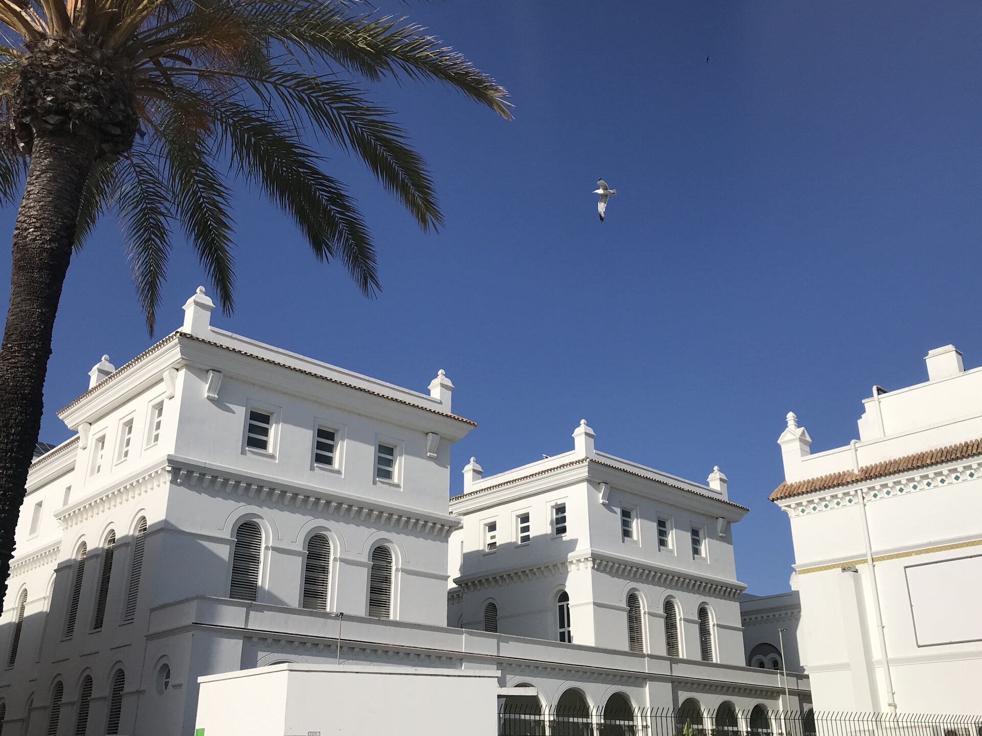 Universitetet i Cadiz.