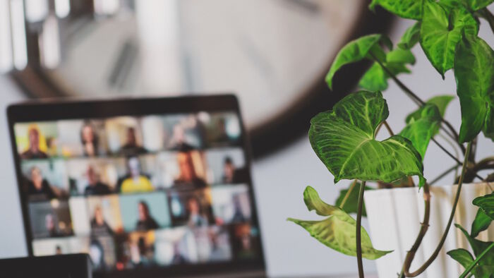 Laptop in front of plant. Illustration photo.