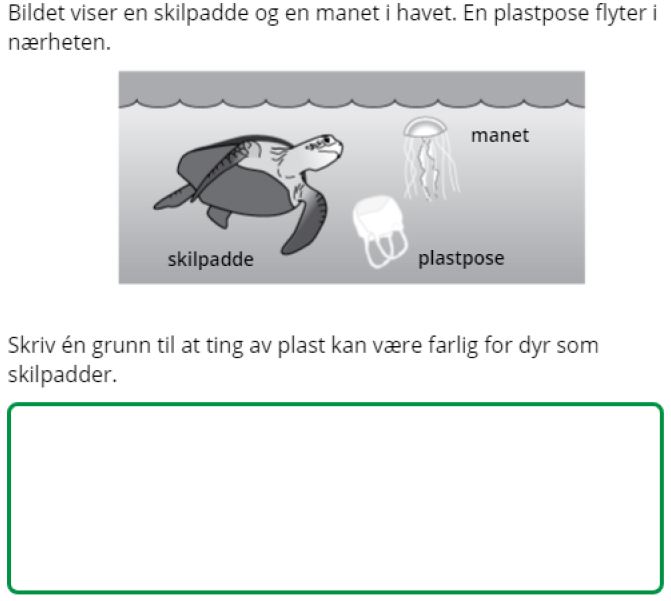 Figuren viser en eksempeloppgave på nivå "middels" i naturfag på barnetrinnet, der elever ser et bilde av en skilpadde, en manet og en plastpose i havet. Elevene skal skrive en grunn til at plast kan være farlig for dyr som skilpadder.