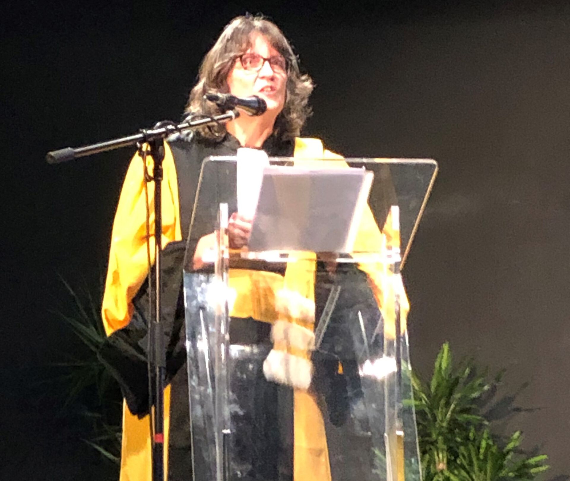 Foto av Doris Jorde som holder en tale i Brest i forbindelse med tildeling av æresprofessoratet