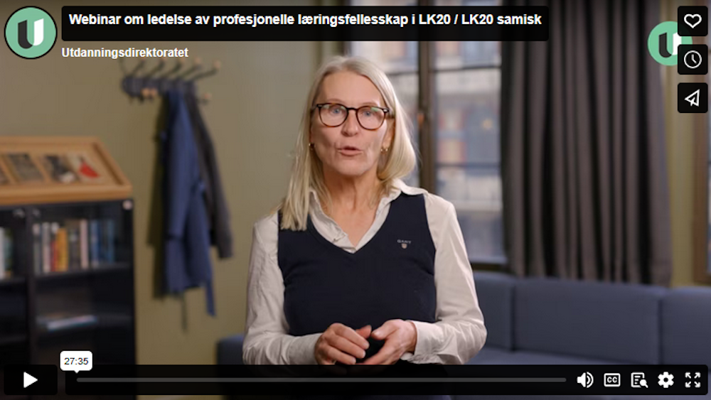 Bilde fra webinar. Foto.