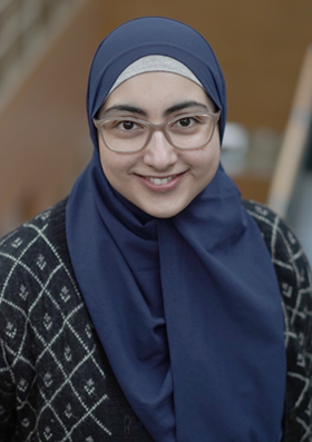 Bilde av Afshan Bibi