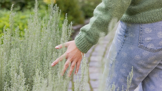Girl walking through a herbal garden. Photo